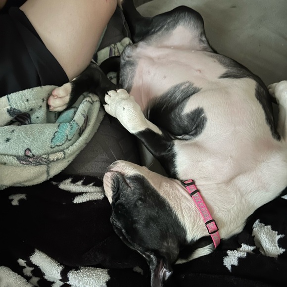 Host appreciation mystery gift/gifts! More you spend more you receive!! - Picture 13 of 16